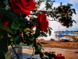 IMG_20200517_062508~2