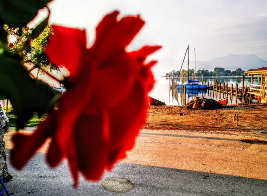 IMG_20200517_062536~2