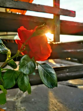 IMG_20200517_062634~2