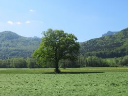 Radtour Bernau - Schleching