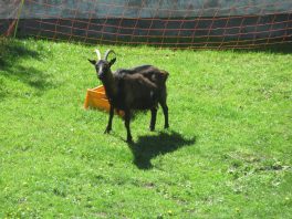 Radtour Bernau - Schleching