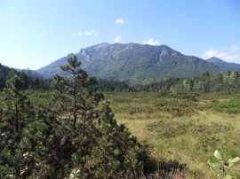 Altes Bad Unterwössen