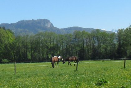 Radtour Bernau - Schleching