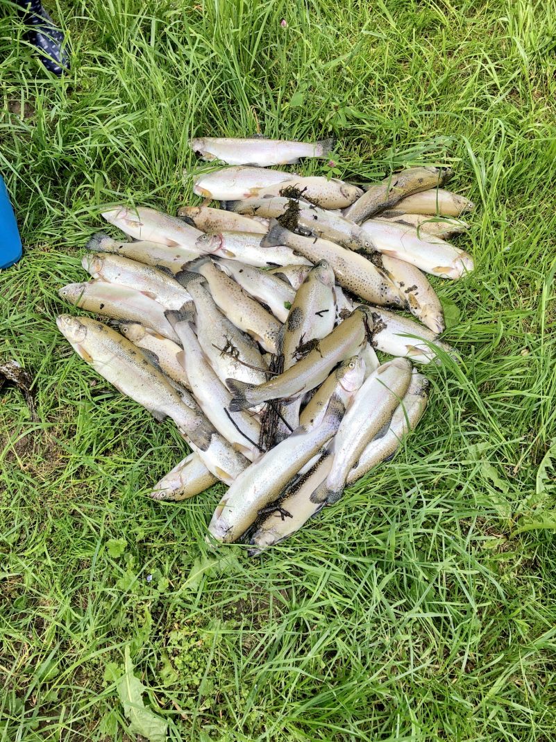 Prien-Forellen kl von Polizei 2020