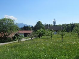 Kapellenweg Söllhuben