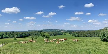 Schäfchenwolken Stupfa