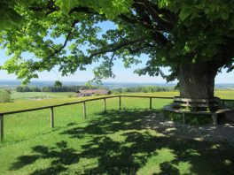 Kapellenweg Söllhuben