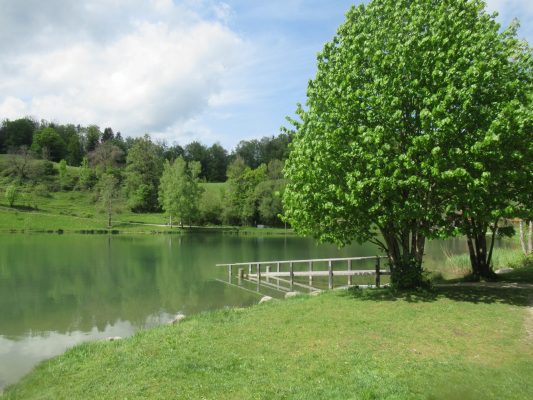 Radtour Prien - Wössner See