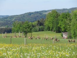 Kapellenweg Söllhuben