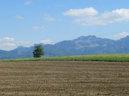 Kapellenweg Söllhuben