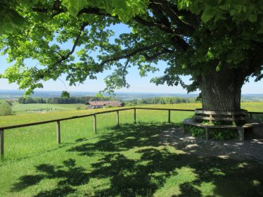 Kapellenweg Söllhuben