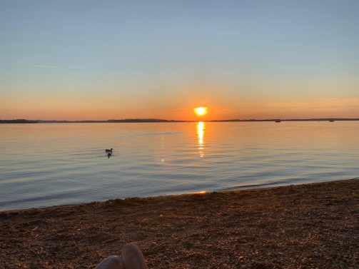 d417ca62-5b98-4bd1-a7fa-37462d24527a