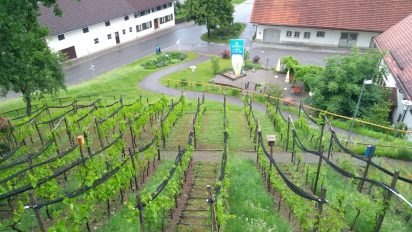 2be0b65a-135a-4e26-a207-a25e3b9b4b31