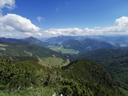 5f12ca9c-4307-4880-8261-5bcf020cc949