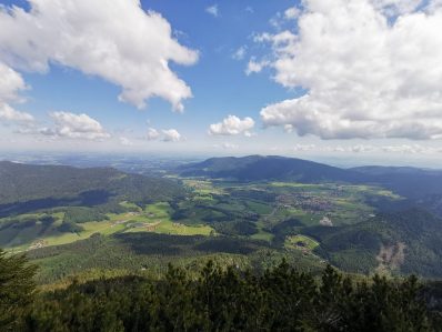 7375a119-80e8-4fa0-b4f5-3d7e8fdb3563