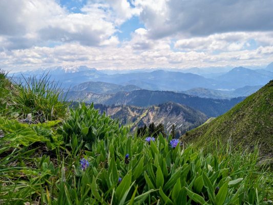 8a5b477d-17fe-41c2-85e3-aae23b6d4943