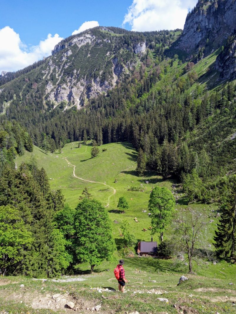 8d91b98e-2ffc-4d93-ba4f-febba4068965