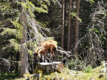 9a197132-8476-4256-a28d-d298d3d0e3ad