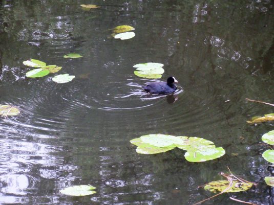 Der Natur auf der Spur