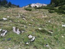 Geigelstein und Breitenstein