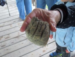 Der Natur auf der Spur