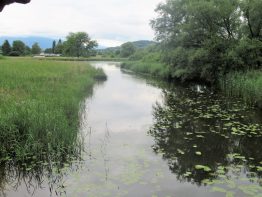 Der Natur auf der Spur