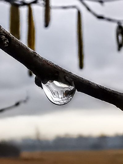 IMG_20200127_084340~2