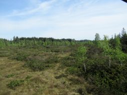 Kloster Seeon Radrunde