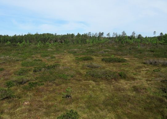 Kloster Seeon Radrunde