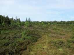 Kloster Seeon Radrunde