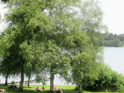 Kloster Seeon Radrunde