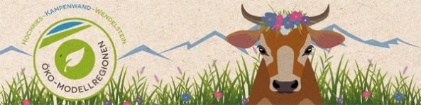 OMR_Headerbild_Newsletter_600x150px_01