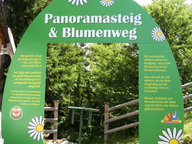 Panoramasteig_und_Blumenweg
