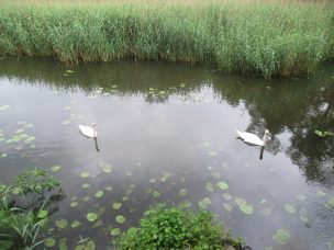 Der Natur auf der Spur