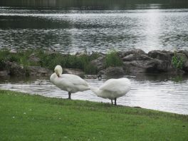 Der Natur auf der Spur