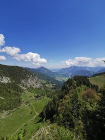 a1ad906d-eacc-428e-a74c-17f8f4c8bb3d