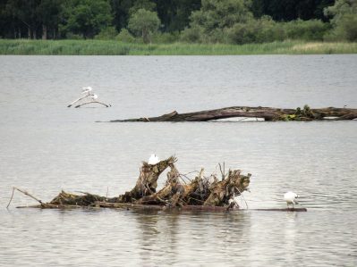 Der Natur auf der Spur