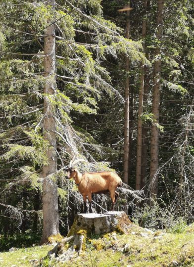 cfbcc74e-15b1-423e-84bb-e22ac1152593