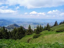 d3398abd-ddce-4604-8195-b238d953a4f3