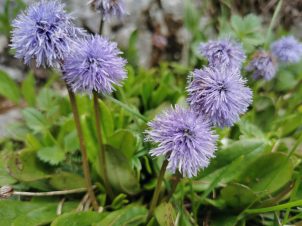 dad4da54-5d38-4344-8d20-f075bcce6335