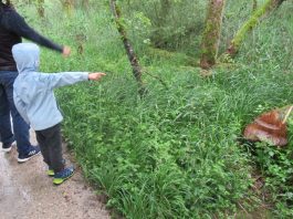 Der Natur auf der Spur