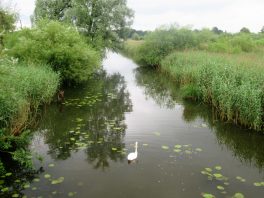 Der Natur auf der Spur