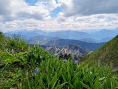 kl-8a5b477d-17fe-41c2-85e3-aae23b6d4943