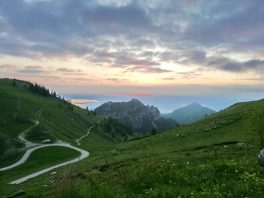 kl-IMG_20200601_052626