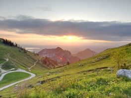 kl-IMG_20200601_054424