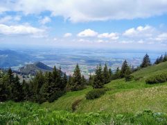 kl-d3398abd-ddce-4604-8195-b238d953a4f3