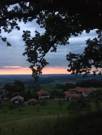 4010f1fb-4c7e-4b35-8bfc-65d9b2505310