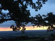 5fe73310-c590-4f79-99c9-1f81c3da4955