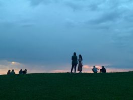 84223a7b-cc7c-4af8-aa37-81ec0e4636fc