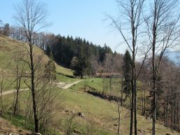 Staffnwanderung mit Abstecher zum Friedenrath